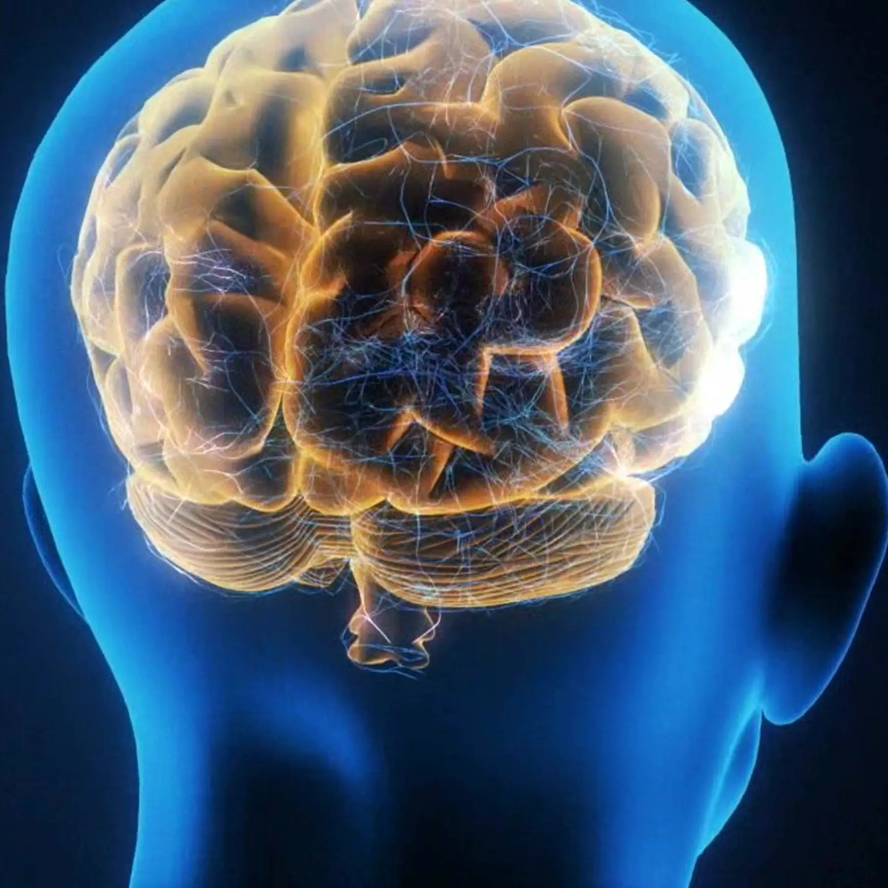 Illustration of a brain inside a head. 