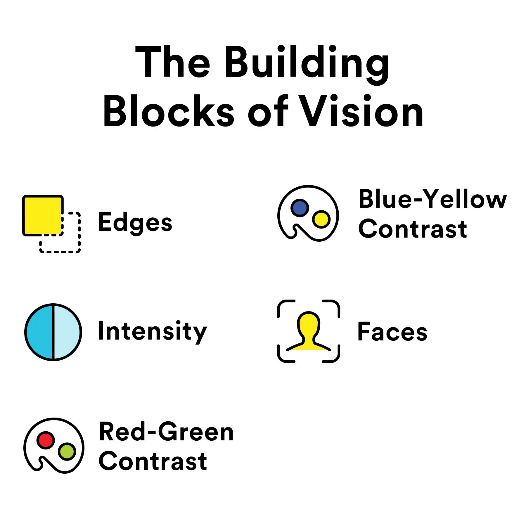The Building Blocks of Vision. Edge, Blue-Yellow Contrast, Intensity, Faces, Red-Green Contrast. 