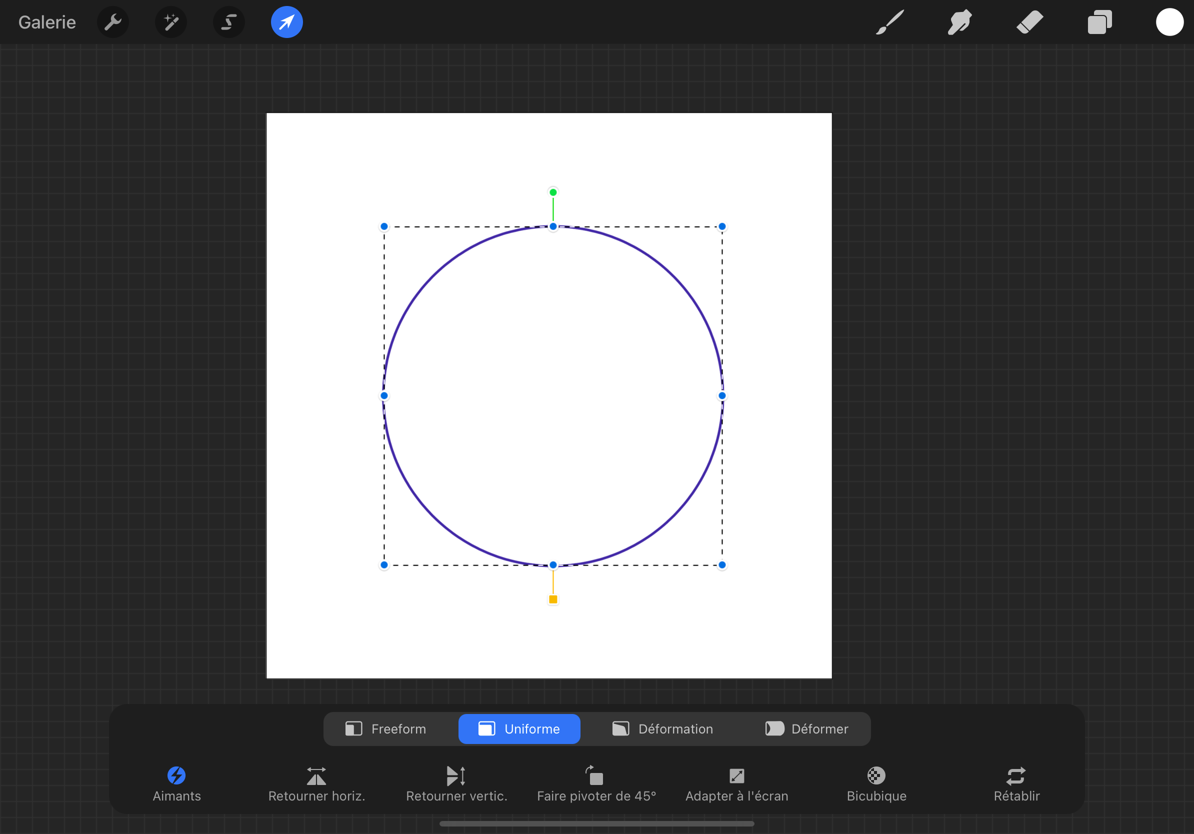 How to make a circle in Procreate?