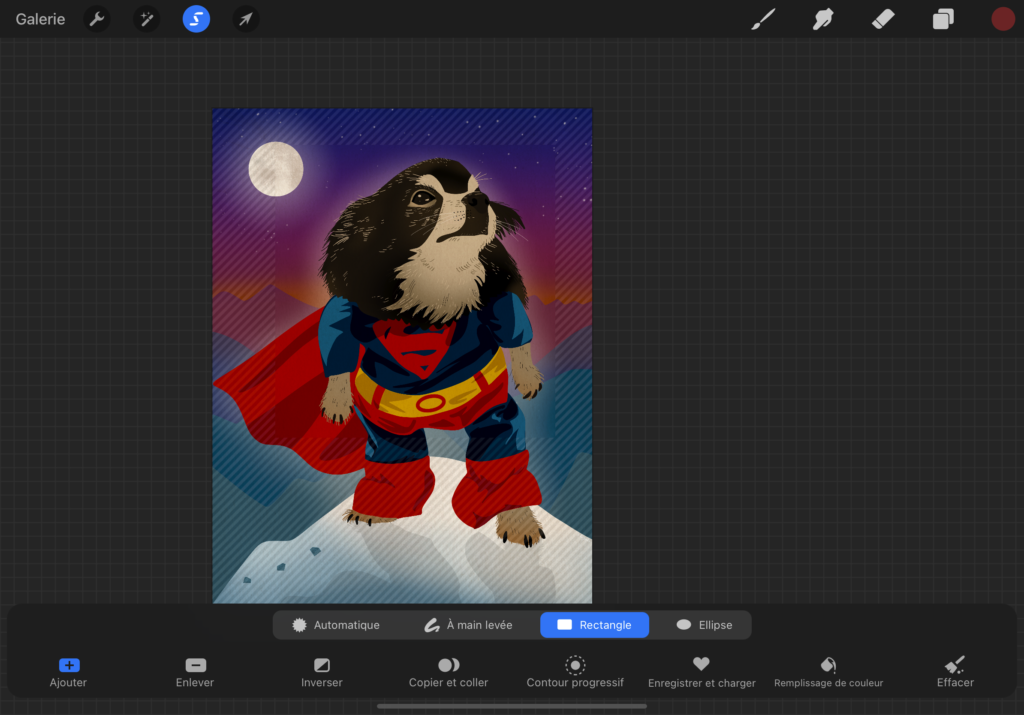 How to copy and paste a selection in Procreate